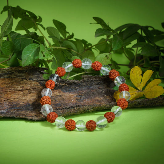 Rudraksha Crystal Bracelet | Premium Rudraksha and Clear Quartz Bracelet